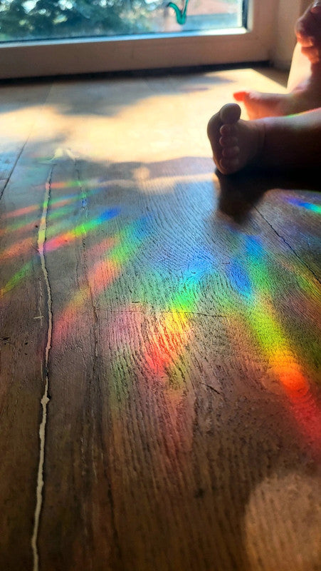 Suncatcher „Libelle“ Regenbogenfenstersticker