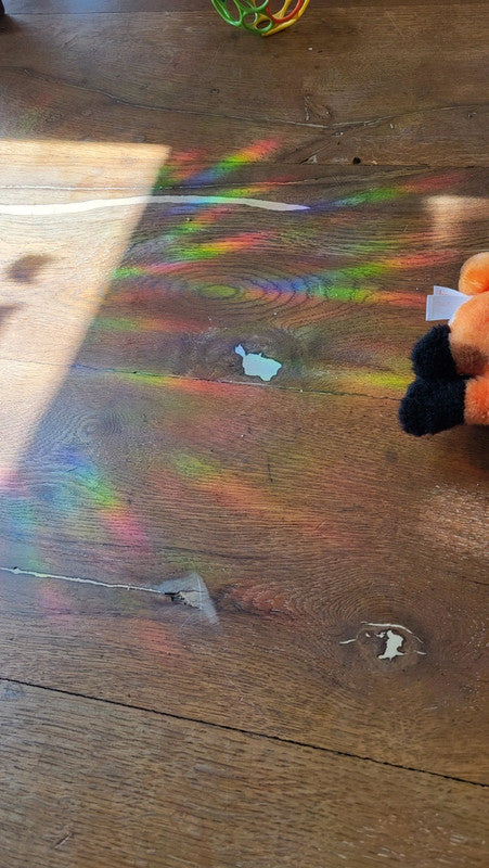 Suncatcher „Libelle“ Regenbogenfenstersticker