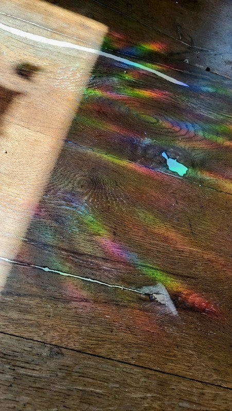 Suncatcher „Farn“ Regenbogenfenstersticker