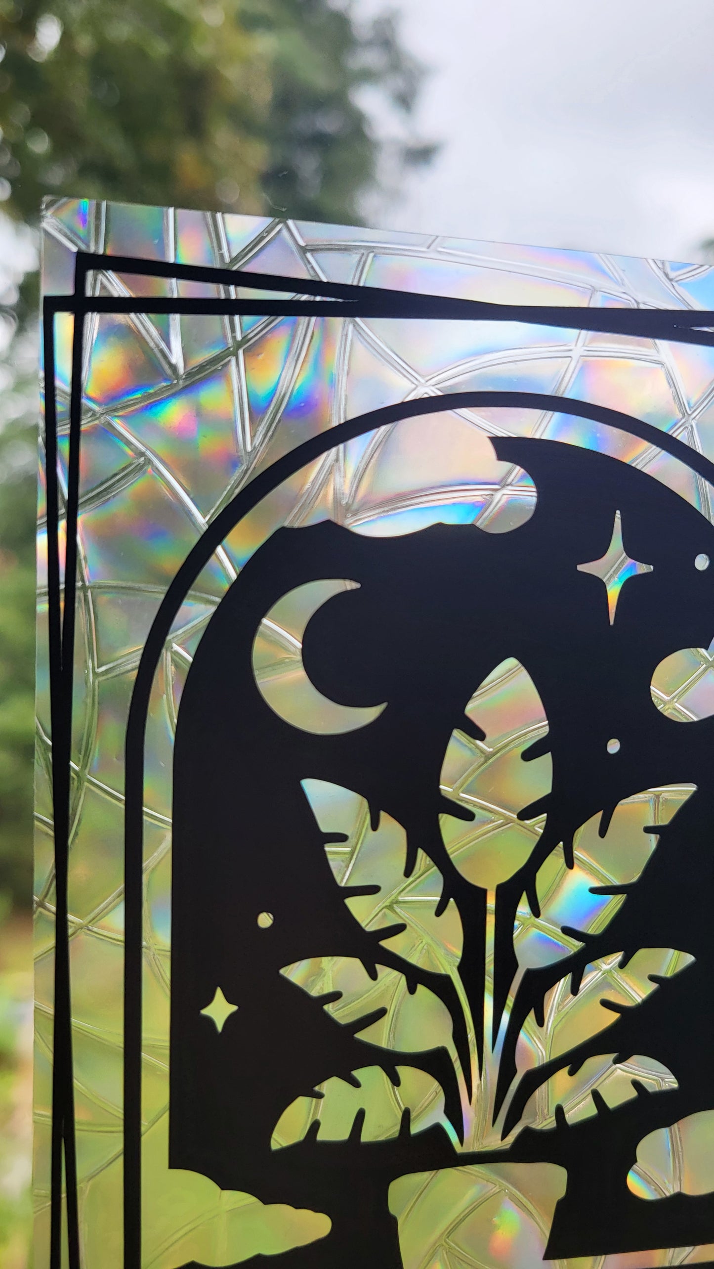 Suncatcher "Pflanze bei Nacht“ Regenbogenfenstersticker
