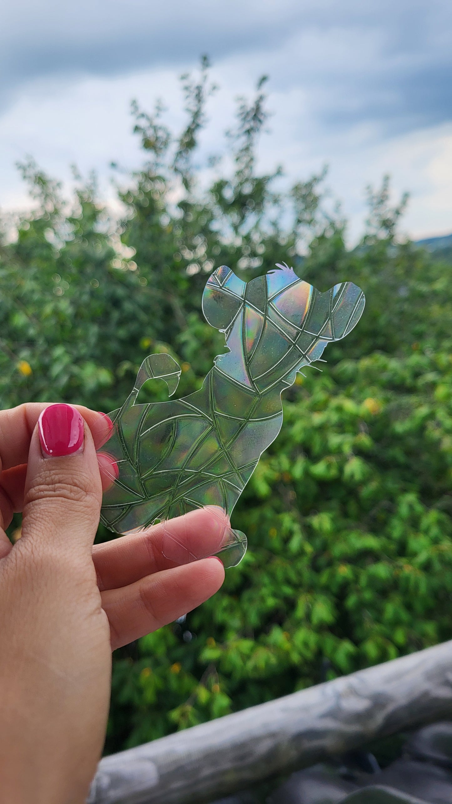 Suncatcher „Simba“ Regenbogenfenstersticker