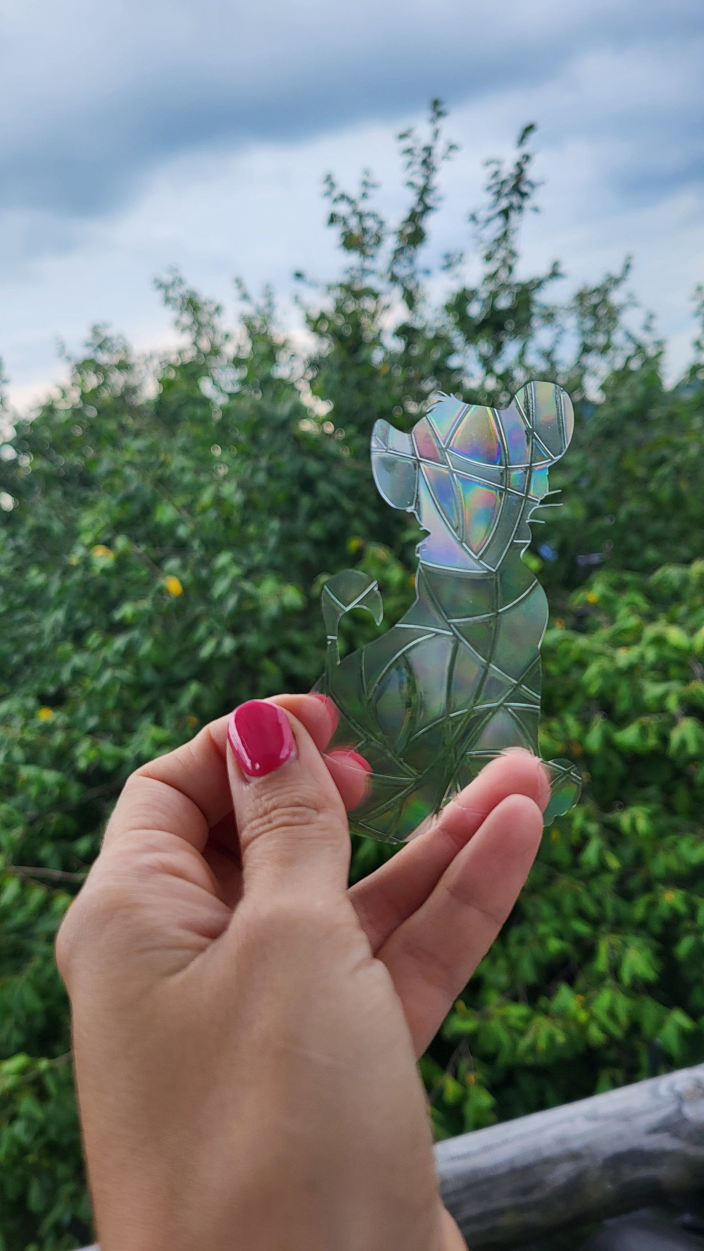 Suncatcher „Simba“ Regenbogenfenstersticker